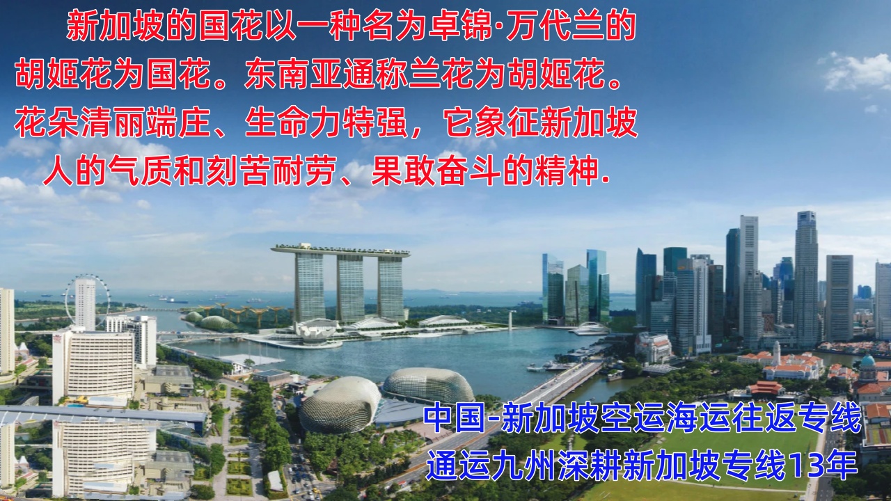 提供廣州到新加坡海運(yùn)服務(wù)，供應(yīng)廣州到新加坡空運(yùn)服務(wù)，報(bào)價(jià)表你看看